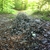 activity photo