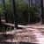 activity photo