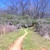 activity photo