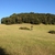 activity photo
