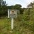 activity photo