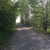 activity photo