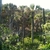 activity photo