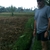 activity photo