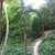 activity photo
