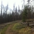 activity photo