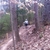 activity photo
