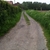 activity photo