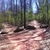 activity photo
