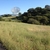 activity photo