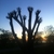 activity photo