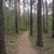 activity photo