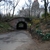 activity photo