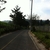 activity photo