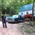 activity photo
