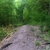 activity photo