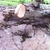 activity photo
