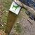 activity photo