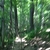 activity photo