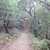 activity photo