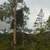activity photo