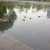 activity photo