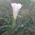 activity photo
