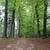 activity photo