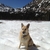 activity photo