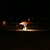 activity photo