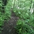 activity photo