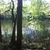 activity photo