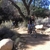activity photo