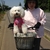 activity photo