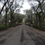 activity photo