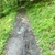 activity photo