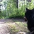 activity photo