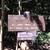 activity photo