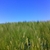 activity photo