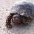 activity photo