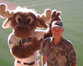 Phil_mariner_large