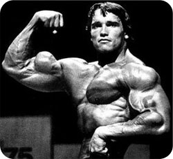 Arnold Schwarzenegger