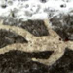 Chagos