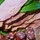 132395989_3397caf6fc_m_thumb