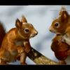 Open-uri20110501-1750-1m3z8zm-0