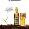 Bulmers-dob-trees