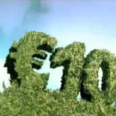 National Lottery / EuroMillions Garden