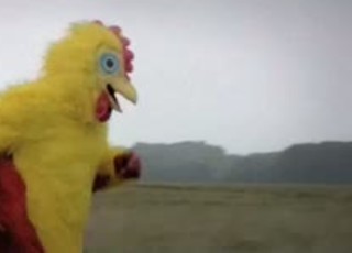 Chicken Viral