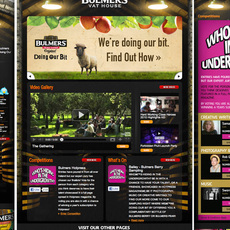 Bulmers / Vat House Facebook App