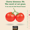 Homegrown-press-ads2